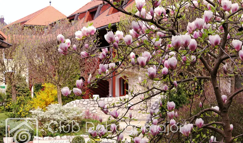 Club Dobogómajor Cserszegtomaj