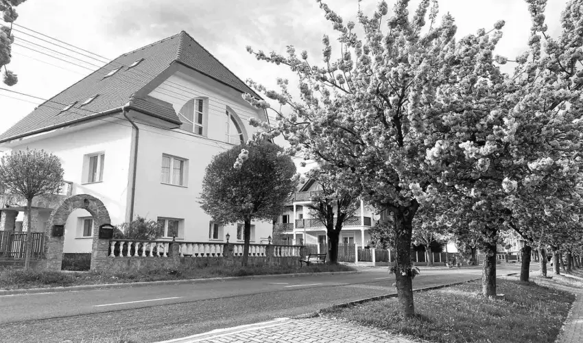 Amadeus Villa H�v�z