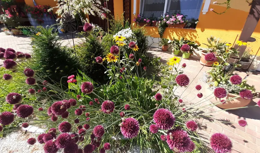 Andrea Vendégház Kehidakustány