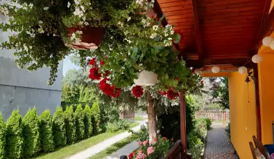 Andrea Vendghz Kehidakustny