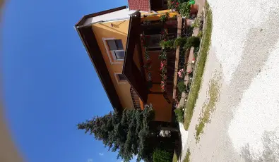 Andrea Vendghz Kehidakustny