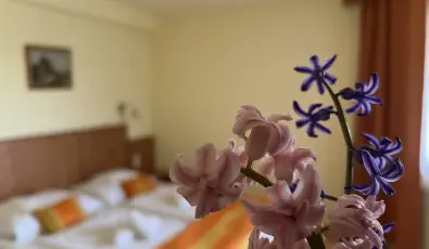 Aquatherm Hotel Zalakaros