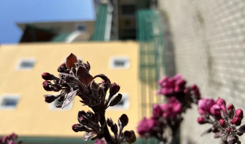 Aquatherm Hotel Zalakaros