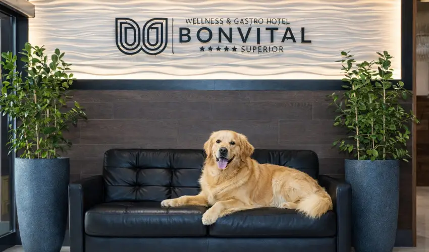 Bonvital Wellness & Gastro Hotel H�v�z H�v�z