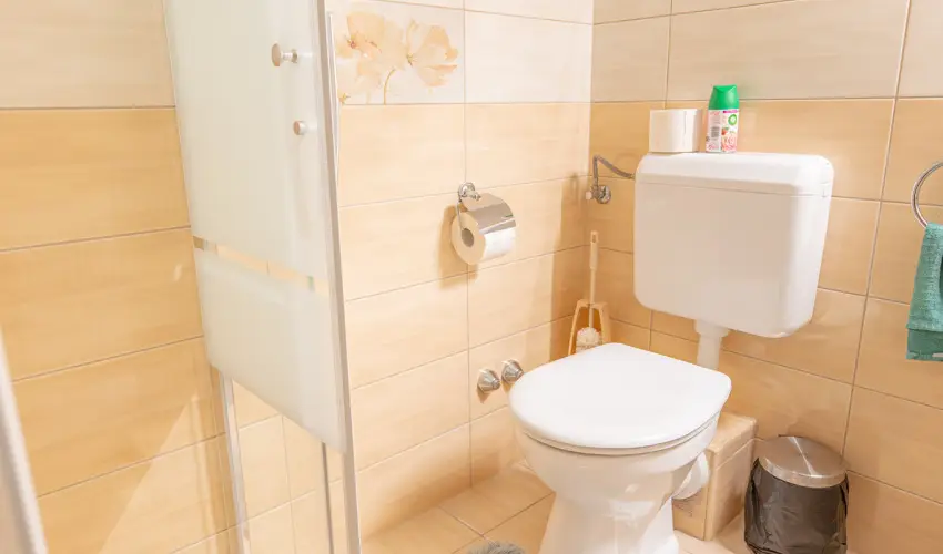 Borbla Vendghz Gyenesdis