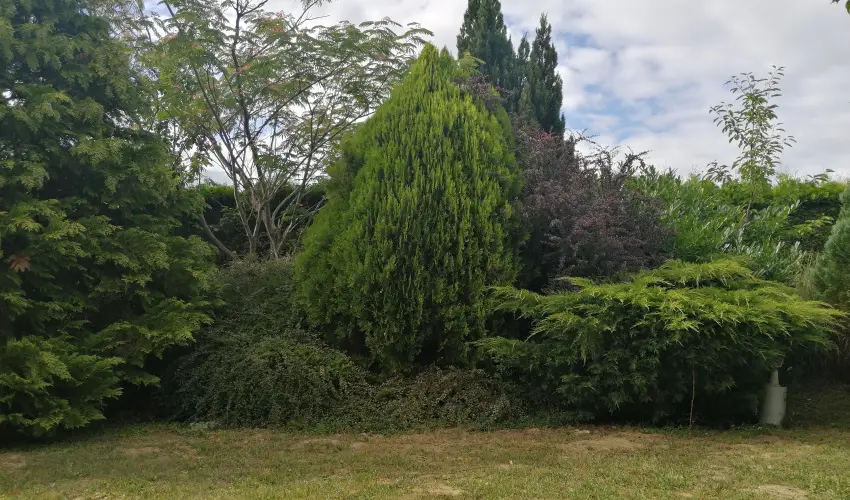 Casa Ninfea Panzi� Cserszegtomaj