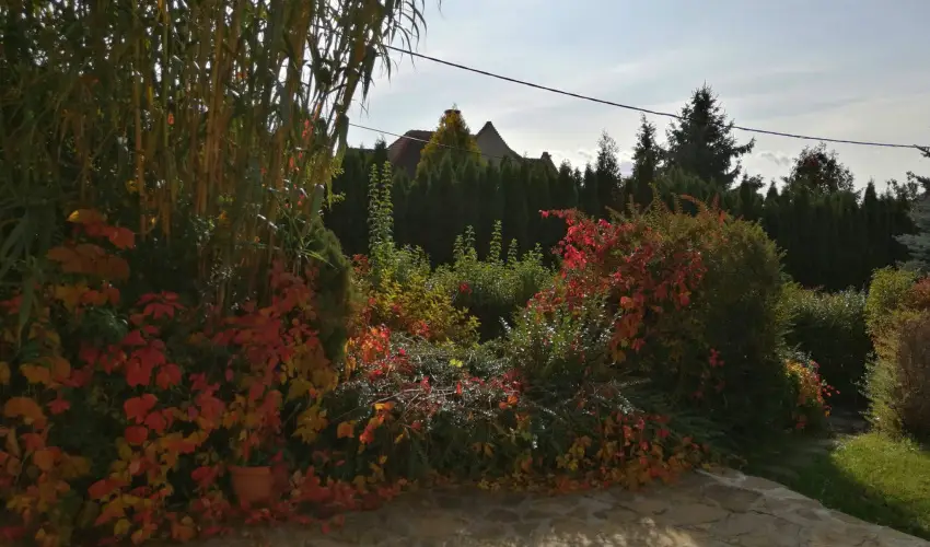 Casa Ninfea Panzi� Cserszegtomaj