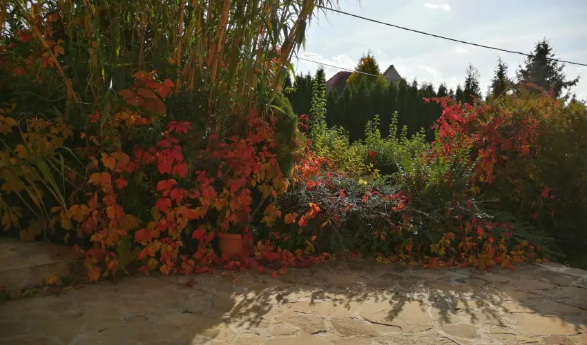 Casa Ninfea Panzi� Cserszegtomaj