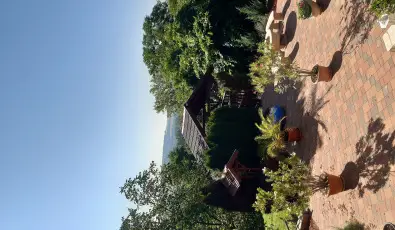 Difa Vendghz Kehidakustny