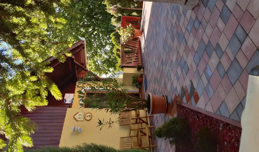 Difa Vendghz Kehidakustny