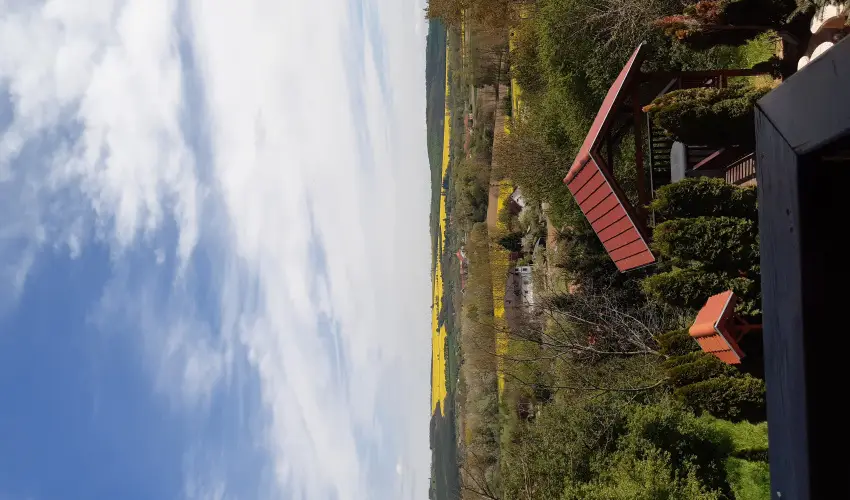 Difa Vendghz Kehidakustny