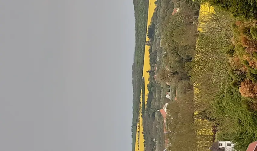 Difa Vendghz Kehidakustny