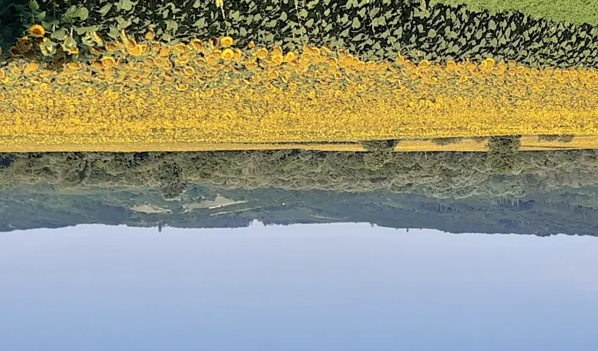 Difa Vendghz Kehidakustny