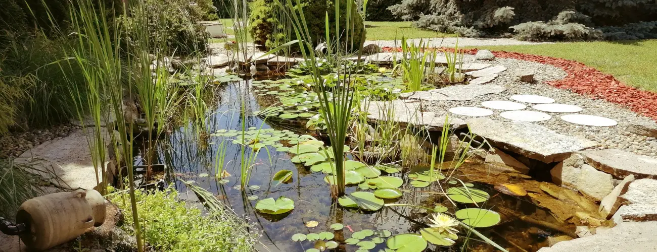 Elisoria Apartmanhz Cserszegtomaj - Hsvt