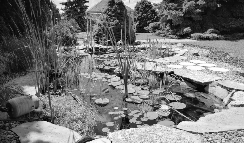 Elisoria Apartmanhz Cserszegtomaj