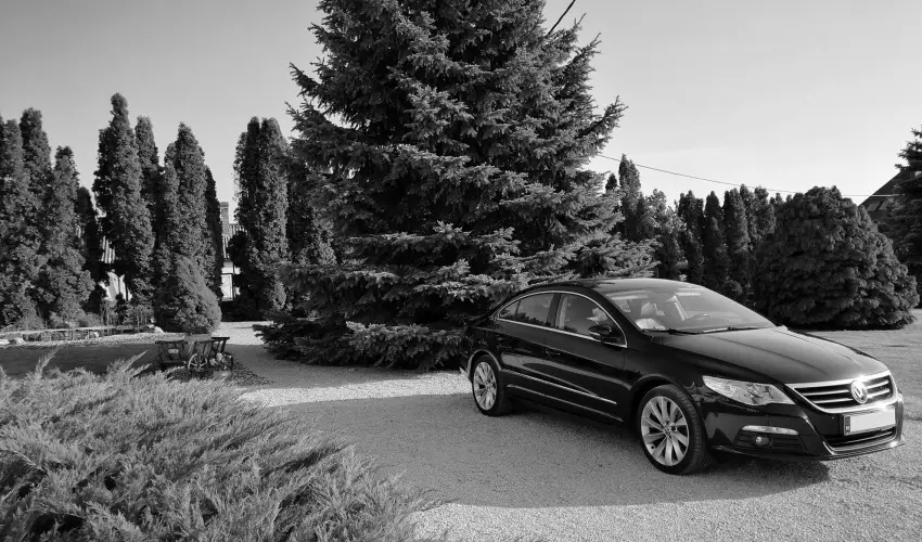 Elisoria Apartmanhz Cserszegtomaj