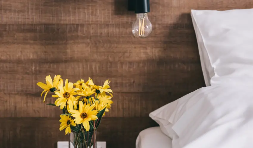 FATA Birtok Vendégház Nemesgulács