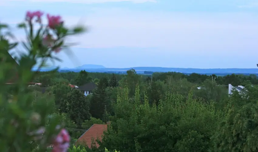 Mese Panzi� Zalakaros