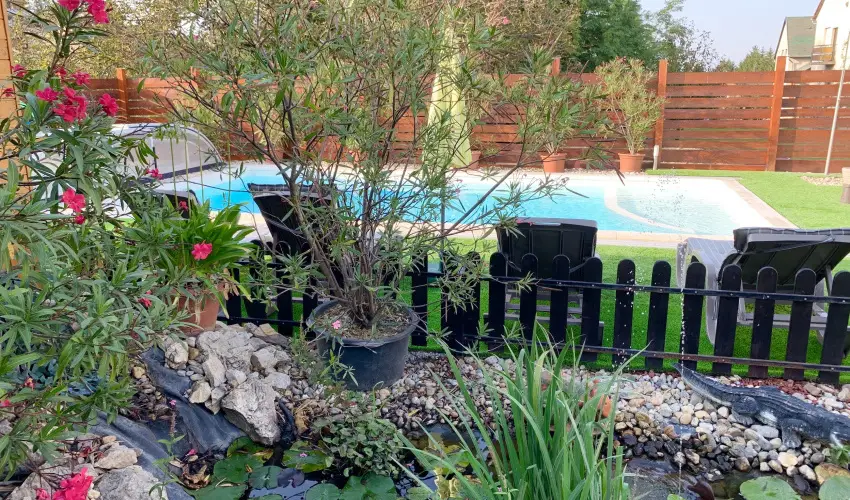 Mese Panzi� Zalakaros