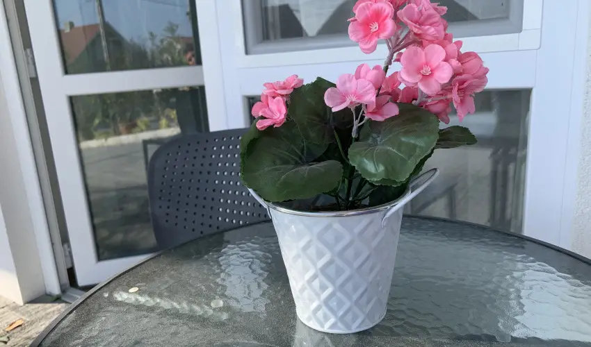 Mese Panzi� Zalakaros