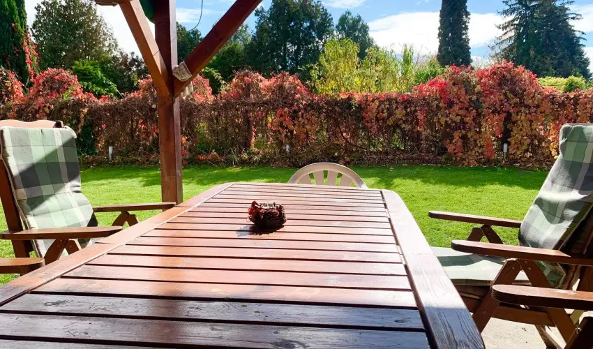 Mese Panzi� Zalakaros