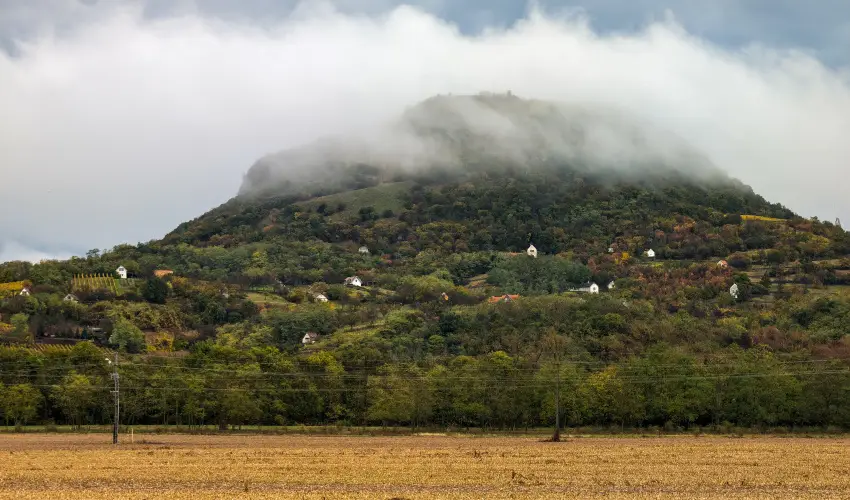 Gyulavez�r Lovasbirodalma Panzi�  Gyulakeszi