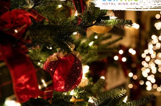 Hotel Bonvino Wine & Spa, Badacsony, Keszthely - 23 km
