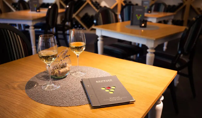 Hotel Bonvino Wine & Spa Badacsony