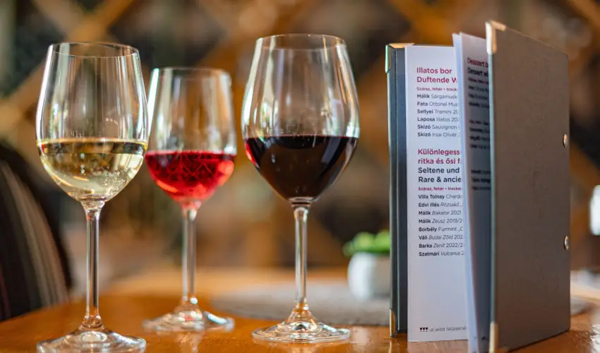 Hotel Bonvino Wine & Spa Badacsony