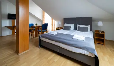 Hotel Forrs Zalakaros Zalakaros