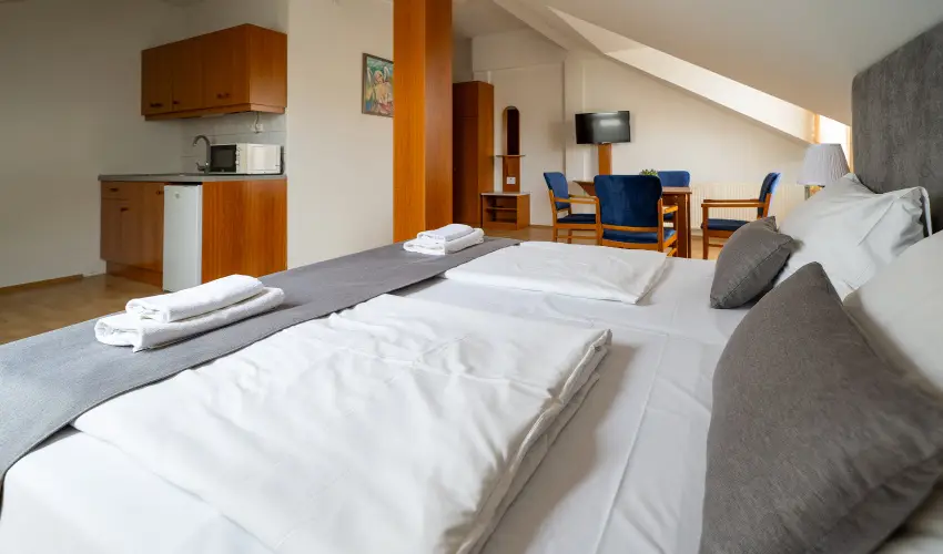 Hotel Forrás Zalakaros Zalakaros