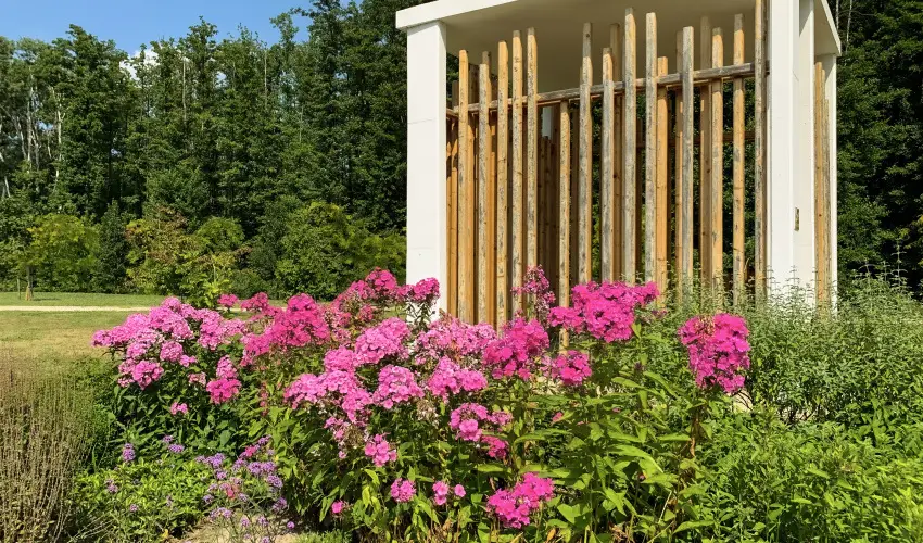 Hunguest Hotel Freya Zalakaros