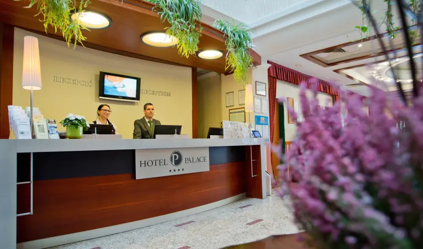Palace Hotel  Hvz