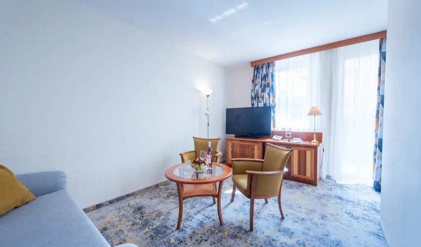 Palace Hotel  H�v�z