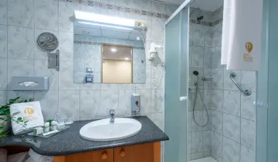 Palace Hotel  H�v�z