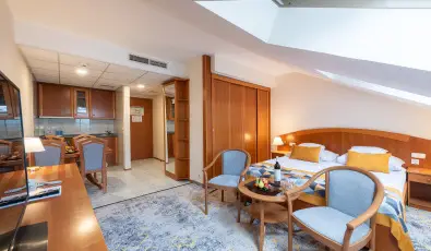 Palace Hotel  H�v�z