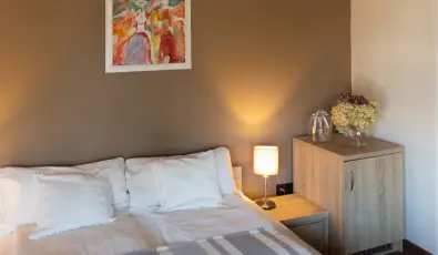 Zsanett Hotel Balatonkeresztr