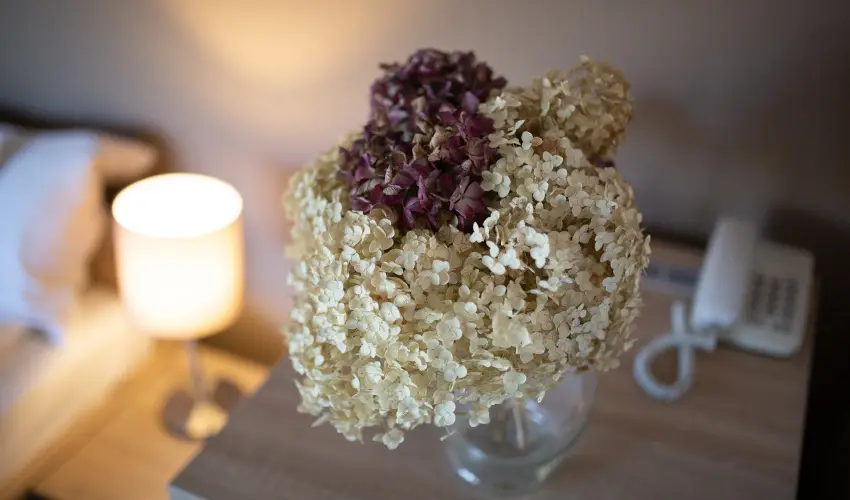 Zsanett Hotel Balatonkeresztr