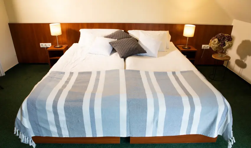 Zsanett Hotel Balatonkeresztr