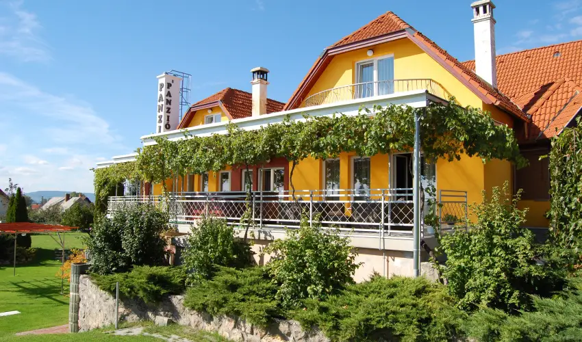 Judit Panzi Tapolca-Gyulakeszi