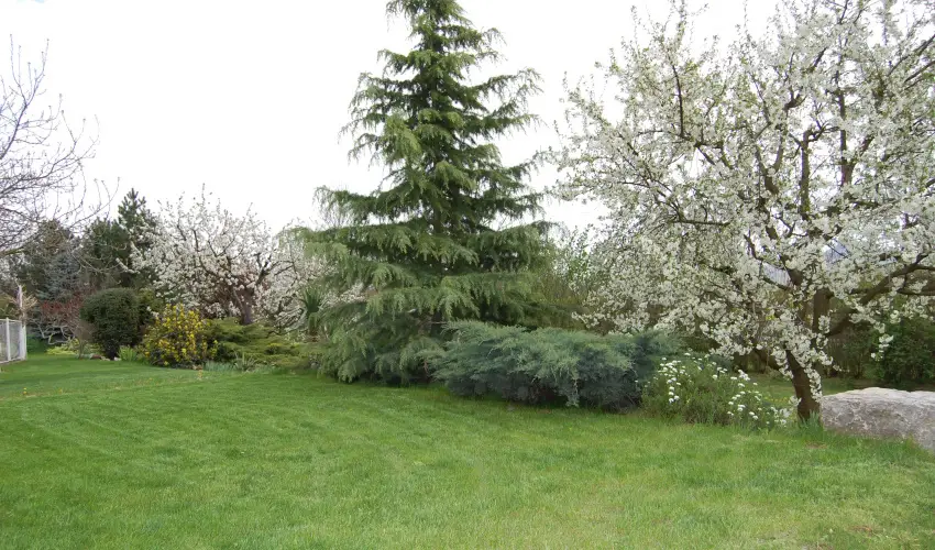 Judit Panzi Tapolca-Gyulakeszi