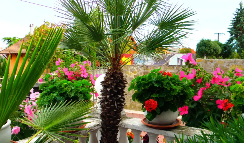 Kristly Apartman Hvz