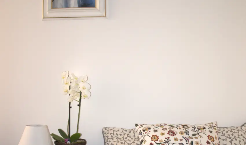 Malom-t� Vend�gh�z Tapolca