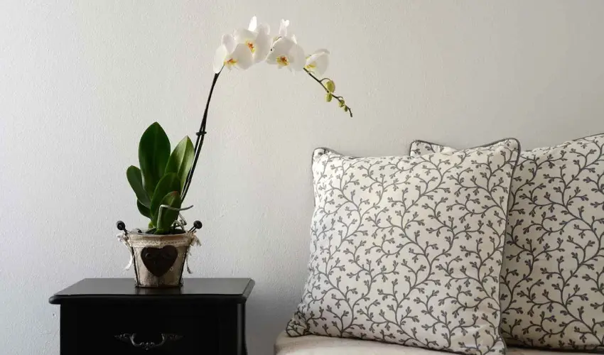 Malom-t� Vend�gh�z Tapolca