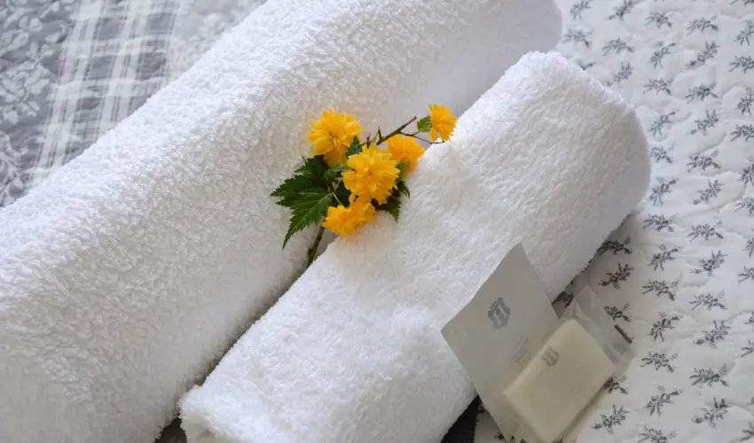 Malom-t� Vend�gh�z Tapolca