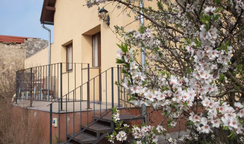 Malom-t� Vend�gh�z Tapolca