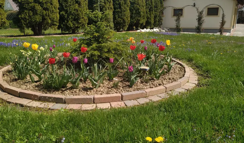 M�ria Apartmanok Zalakaros