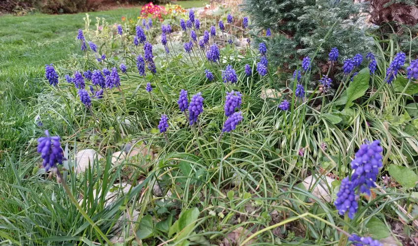 Ngy vszak Apartmanhz Zalakaros Zalakaros