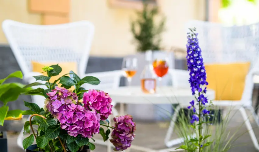 Neptun Badacsony Badacsony