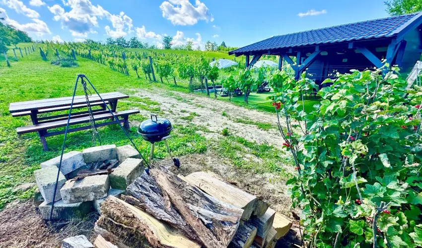 Szent Orbn Panzi Zalakaros - Kutyabart apartmanok Zalakaros